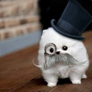 那年我双手插兜,不知该