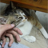 ⎛⎝ ｀^´ ⎠⎞