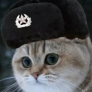 CCCP