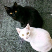 可没有一点看法