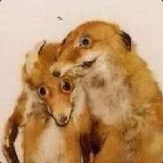 Pan lisek hellcase.com