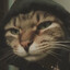 Starkiller