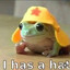 Don’t worry be soviet froggo