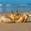 Crab13