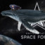 SpaceForce Whale
