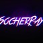 SocherPay