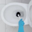 Skibidi I Toilet DJ