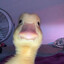 TheDauck