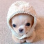 gonnie