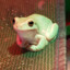 Steam avatar