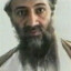 بن لادن