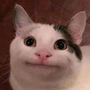 我真的不是志辉