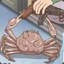 capitol crab