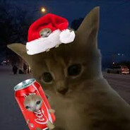 <_𝒃𝒍𝒂𝒏𝒌_> - steam id 76561199100825356