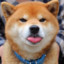 DoggoMemes