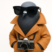 ФОТОГРАФ avatar