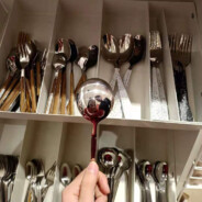 抓住一只玉桂狗