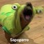 sapoperro