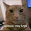 Lil Ugly Dude