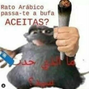 Rato arábico