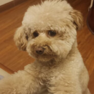 汪意轩牛逼闪闪