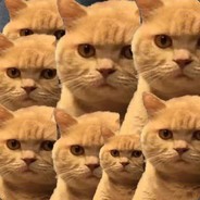 不唱声嘶力竭的情歌