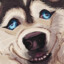 Avatar of wusky