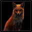 &lt; FoXYETT