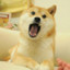 神烦Doge