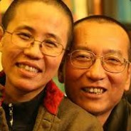 陰莖