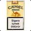 Kısa Camel
