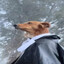 kibel w fox river
