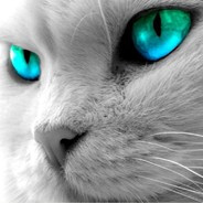 Yuliyan - steam id 76561198158746849