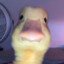 happyduck