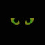 Nocturnal Humor