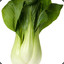 Bok Choy