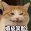 边渡友史执