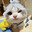 MIAOU