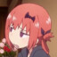 Alpaca_cc