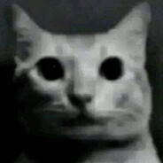 Gato