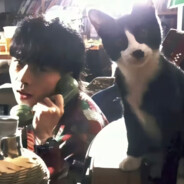 永不翻身的咸鱼