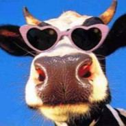 Evilcowwithtourettes