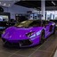 Purple Lamborghini