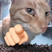 疯狂骚奶爱骑暴走摩托