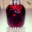 kompot