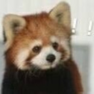 理塘最強伝説の猛虎！純真丁一郎