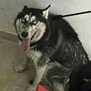 小聋瞎你走不走