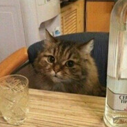 kitty's avatar