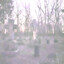 Pentegarb