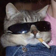 Cool Cat
